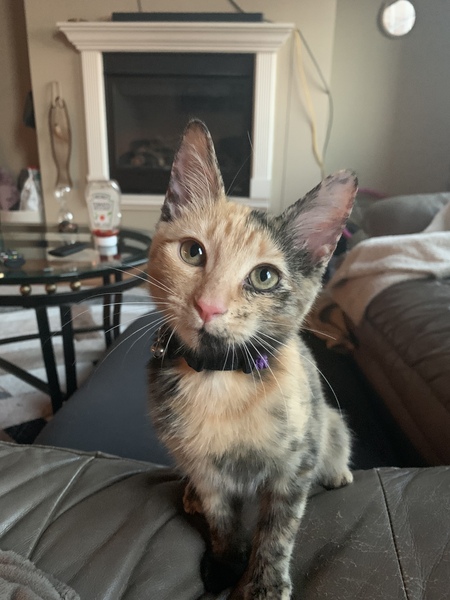 Lilly