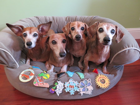 Bubba, Lily, Shelby, & Jeb