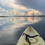 Entry image for NO WIND
