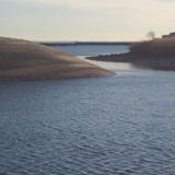 Entry image for Cove Island-Early Summer