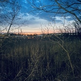 Entry image for Easy rise