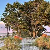 Entry image for Sunrise camping on Shea Island 
