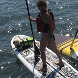 Entry image for Paddling Boarding Across from the Crabshell