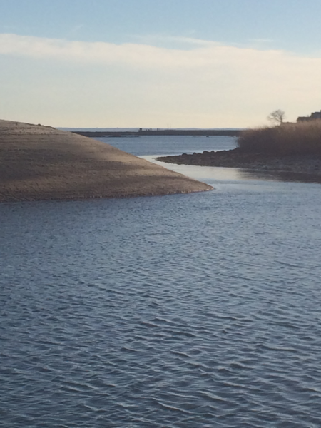 Entry image for Cove Island-Early Summer. Clicking this image will show a larger photo
