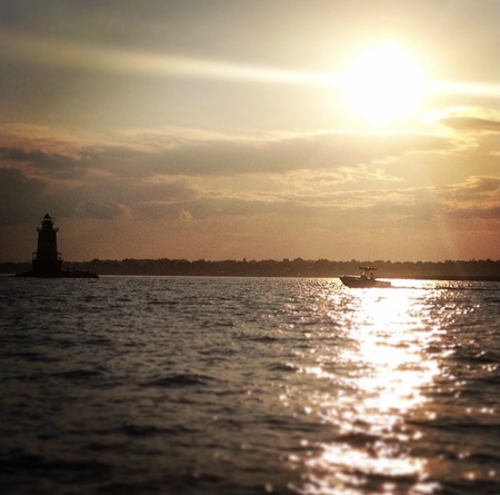 Entry image for Sunny Sky. Clicking this image will show a larger photo