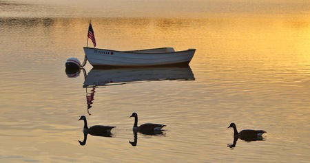 Entry image for Tranquility On Holly Pond. Clicking this image will show a larger photo