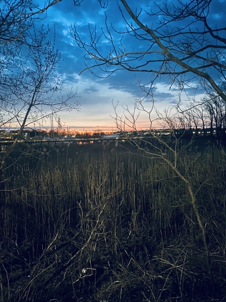 Entry image for Easy rise. Clicking this image will show a larger photo