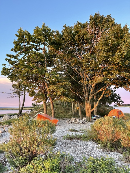 Entry image for Sunrise camping on Shea Island . Clicking this image will show a larger photo