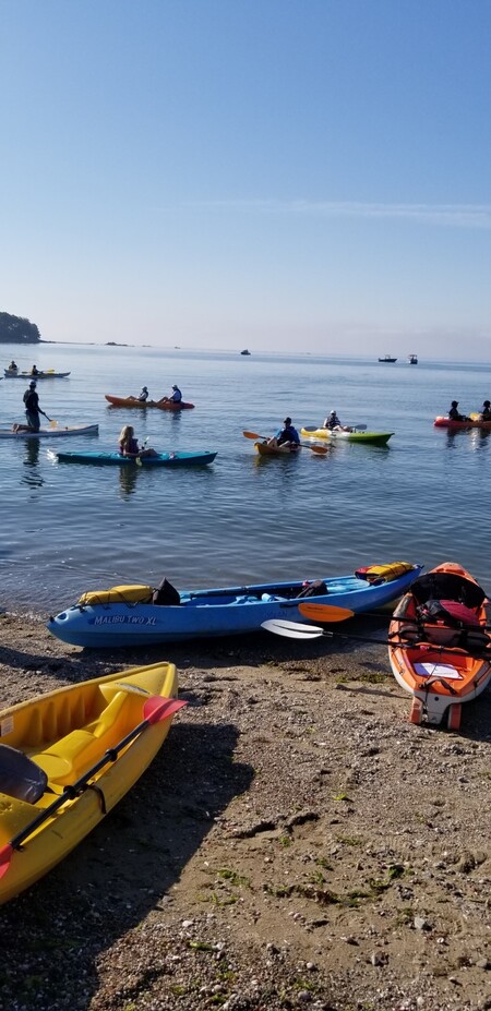Entry image for Flotilla!. Clicking this image will show a larger photo