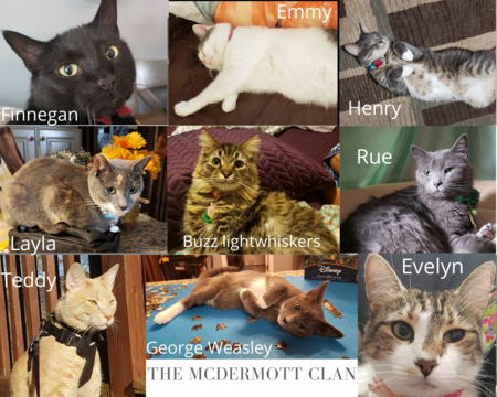 Evelyn, Finnegan, Emmy, Rue, Layla, Henry, Teddy, Buzz lightwhiskers, George Weasley