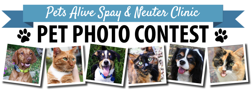 Banner for Pets Alive 2021 Pet Photo Contest