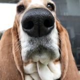 Entry image for Molly