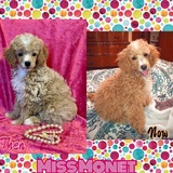 Entry image for Miss Monet 