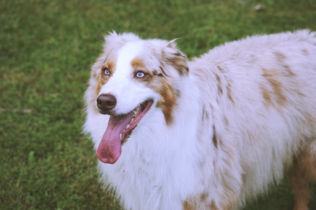Entry image for Kuma. Clicking this image will show a larger photo