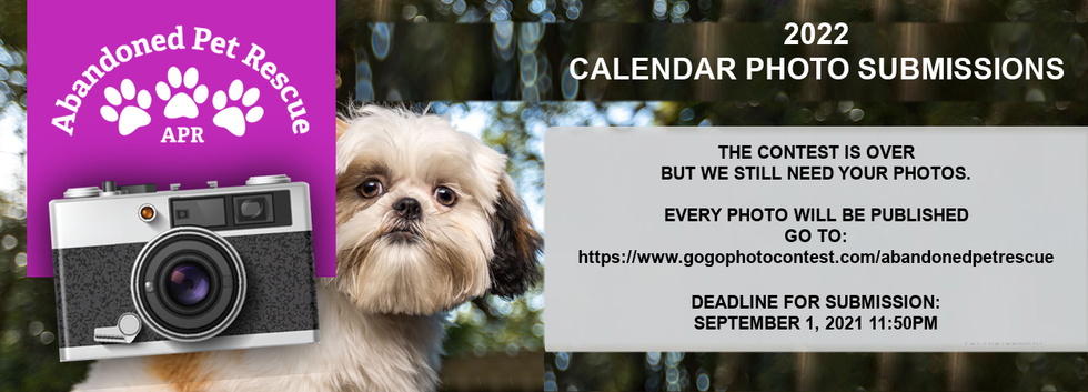 Banner for  “Love is Guaranteed” Abandoned Pet Rescue 2022 Photo Calendar