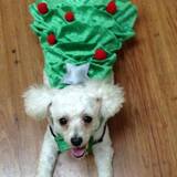 Entry image for Cricut 