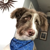 Entry image for Mason