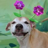 Entry image for Delta