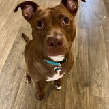 Entry image for Coco