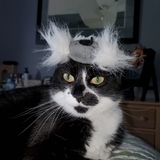 Entry image for ASHIE