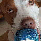 Entry image for Sunny