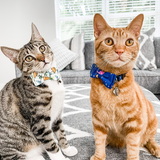 Entry image for Lettuce and Tomato