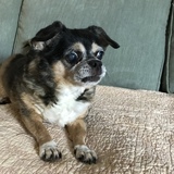 Entry image for Molly