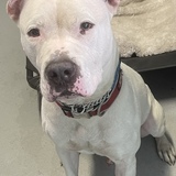 Entry image for Hurricane 