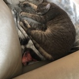 Entry image for Miss. Ellie