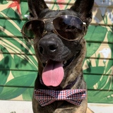 Entry image for Whiskey 