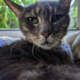 Entry image for Zula