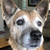 Entry image for Nana