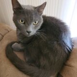 Entry image for Natasha