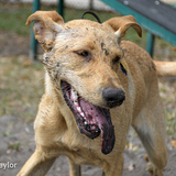 Entry image for Sunshine