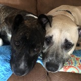 Entry image for Evan & Dolly