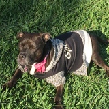 Entry image for Bessie