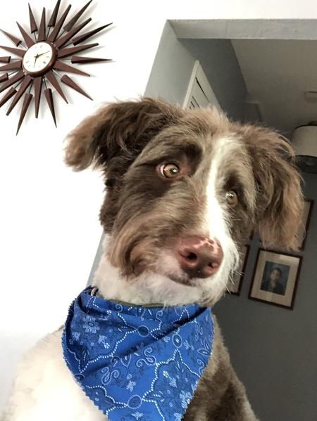 Entry image for Mason. Clicking this image will show a larger photo