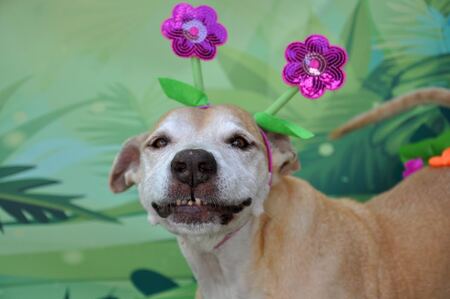 Entry image for Delta. Clicking this image will show a larger photo