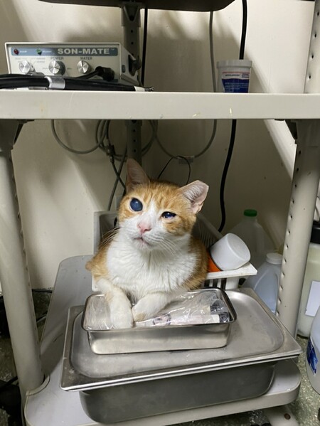 Entry image for Curtis. Clicking this image will show a larger photo