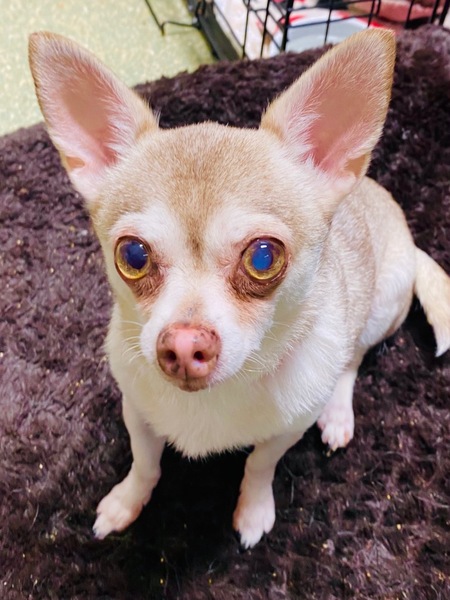 Entry image for Cuddles. Clicking this image will show a larger photo