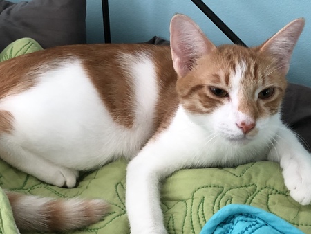 Entry image for Kai. Clicking this image will show a larger photo