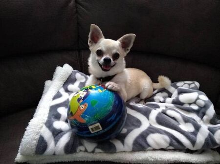 Entry image for Ash. Clicking this image will show a larger photo