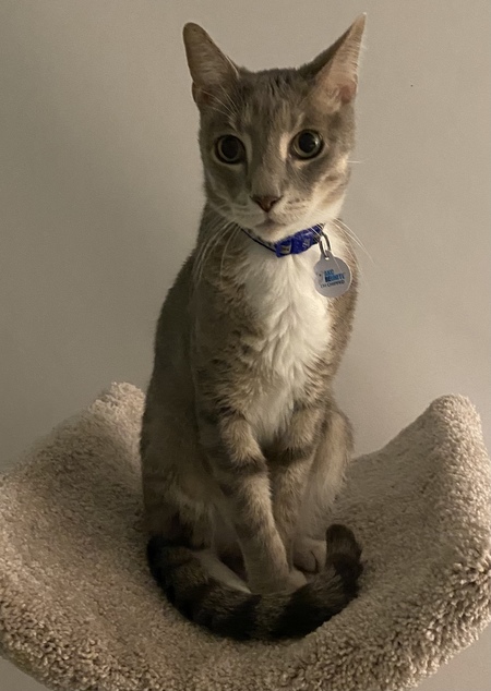 Entry image for Skye Parrigin. Clicking this image will show a larger photo