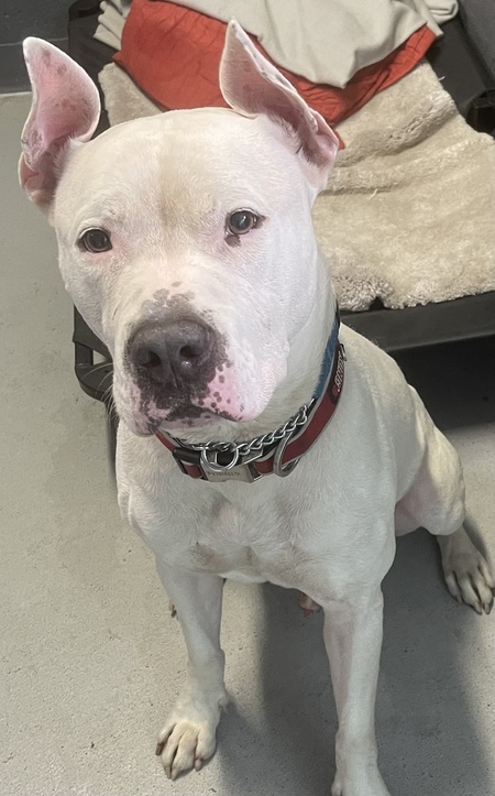 Entry image for Hurricane . Clicking this image will show a larger photo