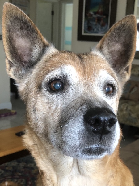 Entry image for Nana. Clicking this image will show a larger photo