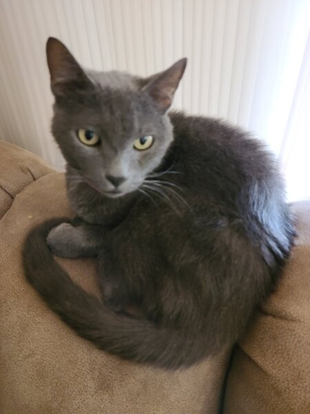 Entry image for Natasha. Clicking this image will show a larger photo