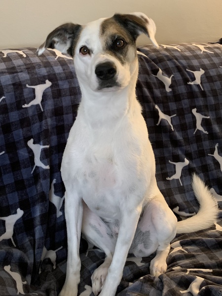 Entry image for Holly. Clicking this image will show a larger photo