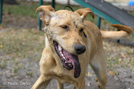 Entry image for Sunshine. Clicking this image will show a larger photo