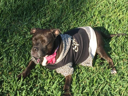 Entry image for Bessie. Clicking this image will show a larger photo