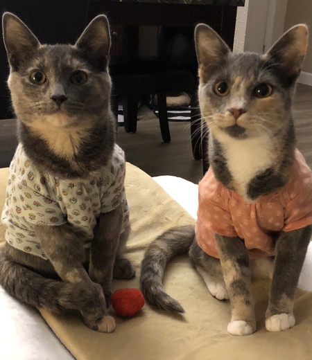 Ellie & Molly